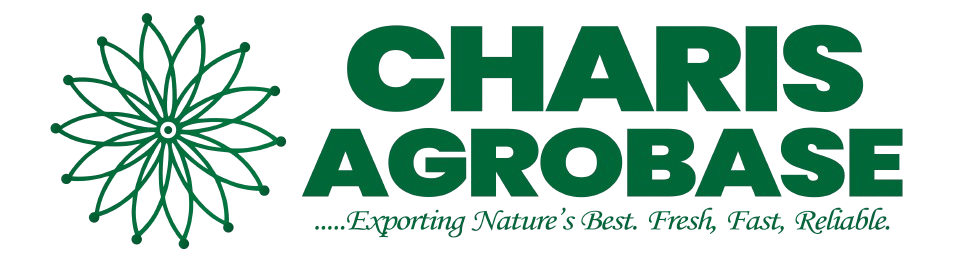 charisenterpriselogo